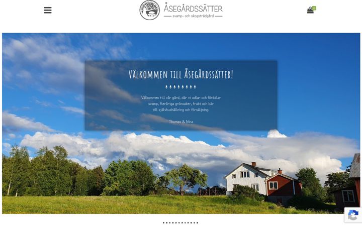 Kuvakaappaus sivustosta asegardssatter.se