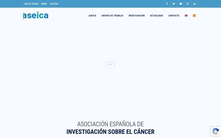 Screenshot of aseica.es