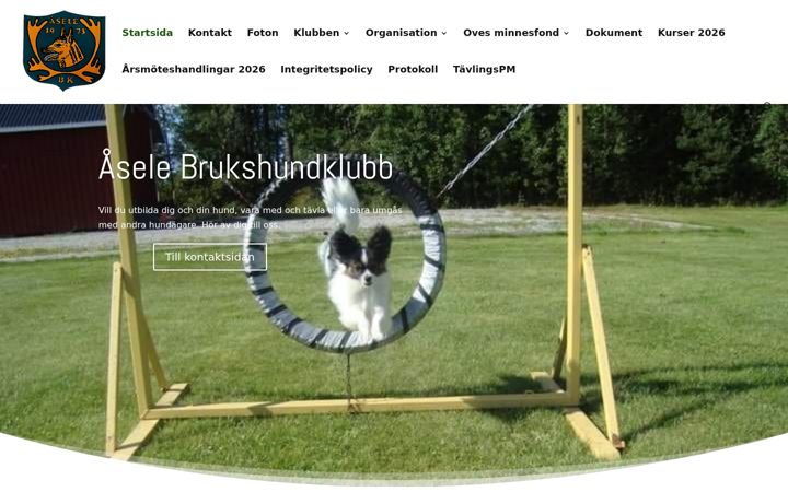 Screenshot of aselebhk.se
