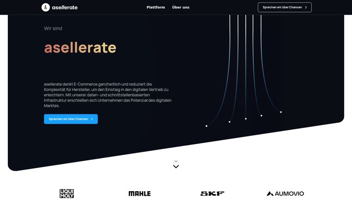 Screenshot of asellerate.de