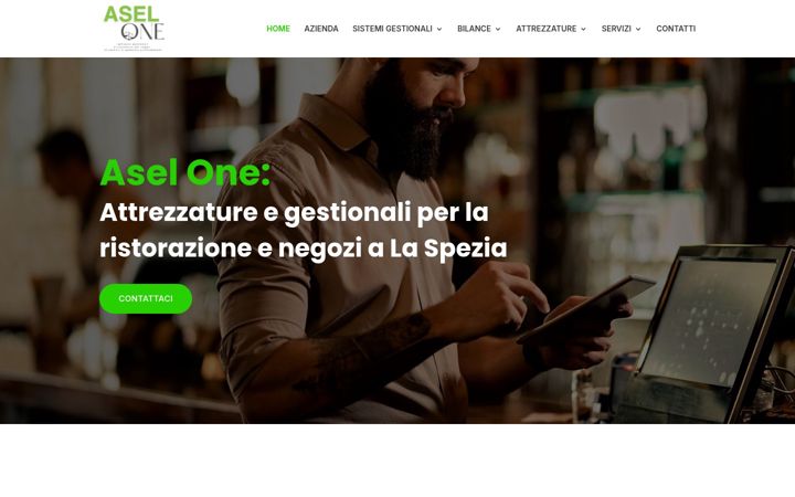 Screenshot of aselone.com