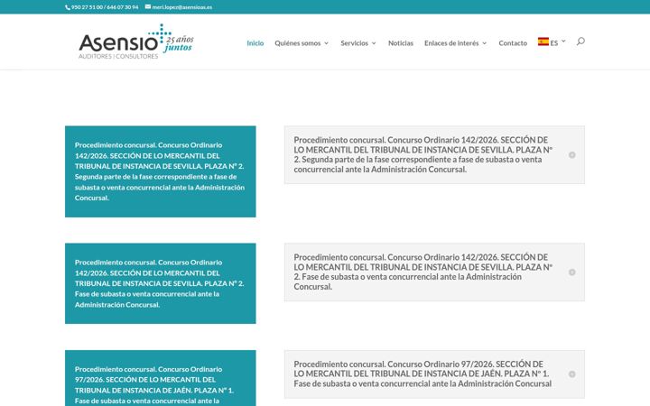 Screenshot of asensioyasociados.com