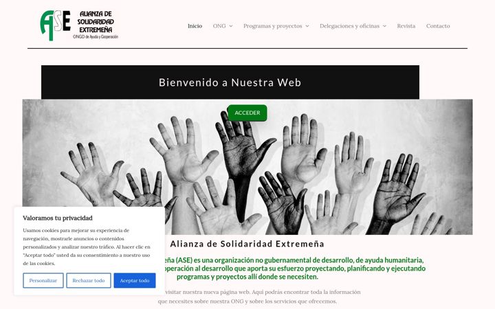 Screenshot of aseong.org