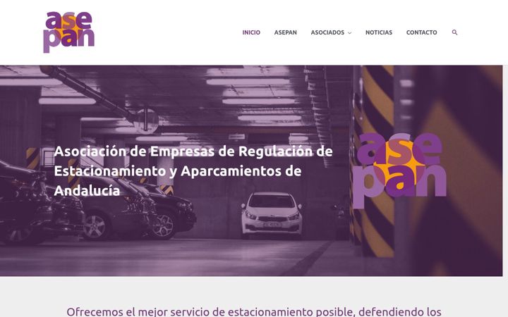 Screenshot of asepan.org