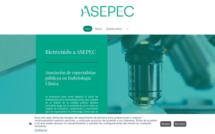 Screenshot of asepec.com