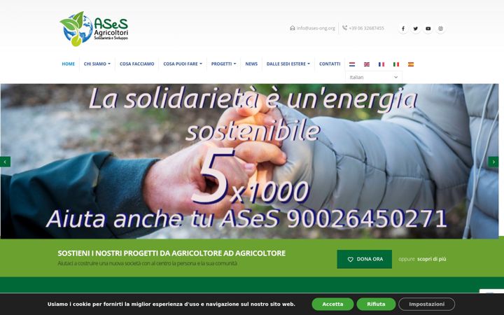 Screenshot of ases-ong.org
