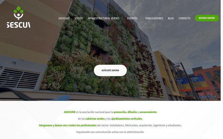 Skjámynd af asescuve.org