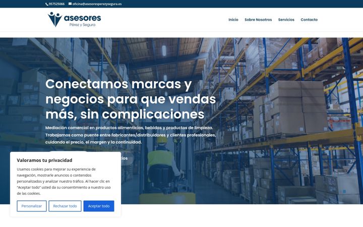Screenshot of asesoresperezysegura.es