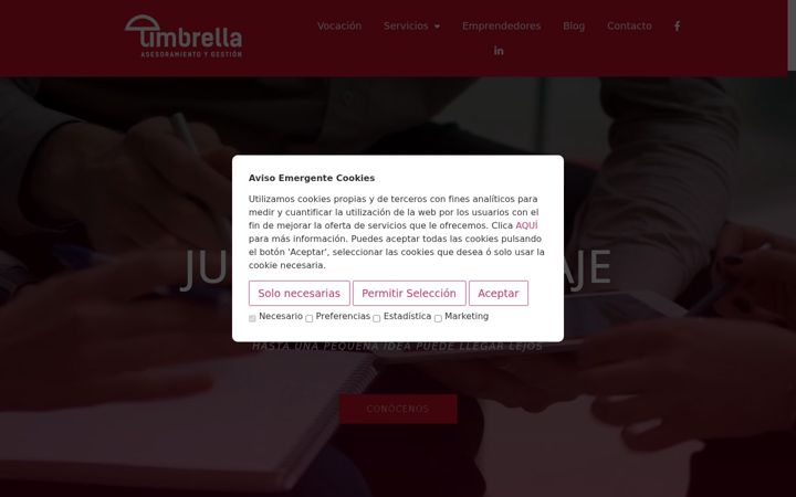 Screenshot of asesoresumbrella.com