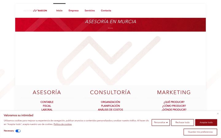 Screenshot of asesoriabaecon.es