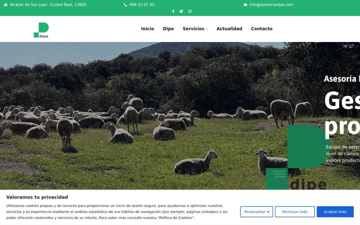 Screenshot of asesoriadipe.com