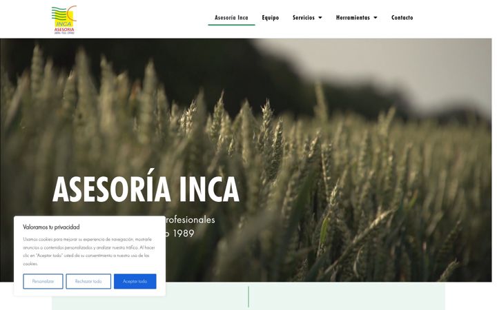 Screenshot of asesoriainca.es