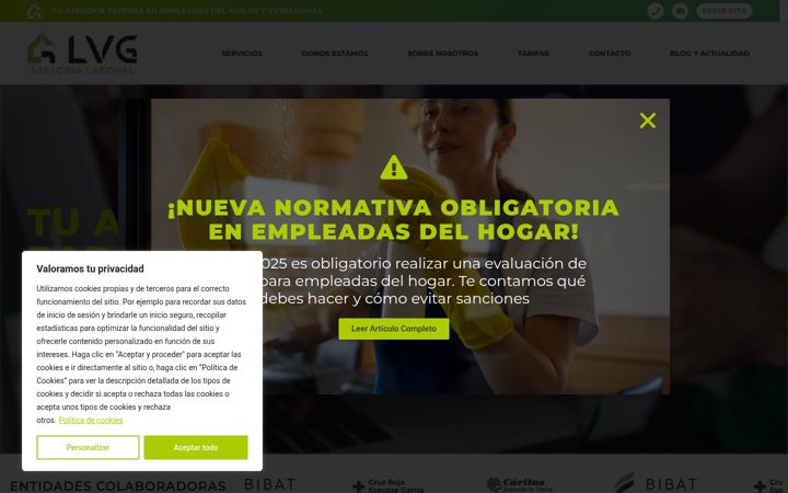 Screenshot of asesorialvg.com