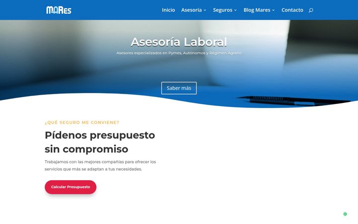 Screenshot of asesoriamares.es