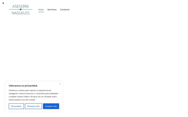 Skjámynd af asesorianagueles.com