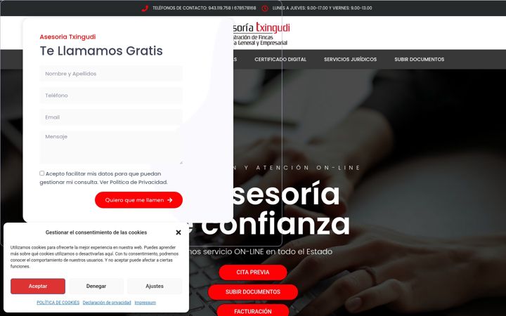 Screenshot of asesoriatxingudi.es