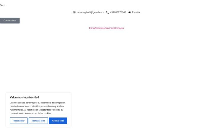 Screenshot of asesorinmobiliario-seco.es