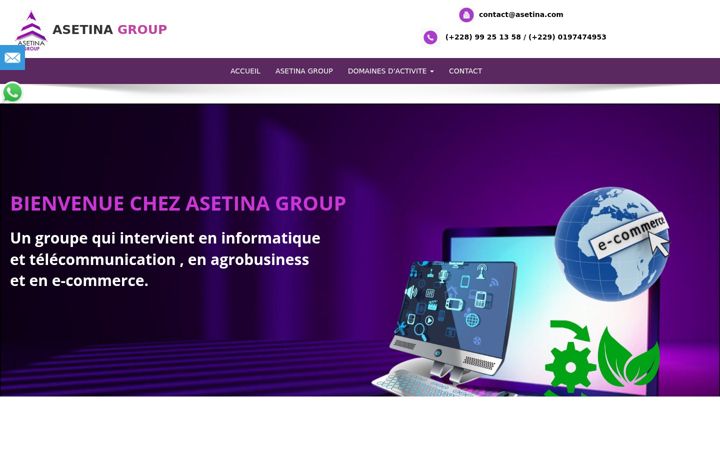 Screenshot of asetina.com