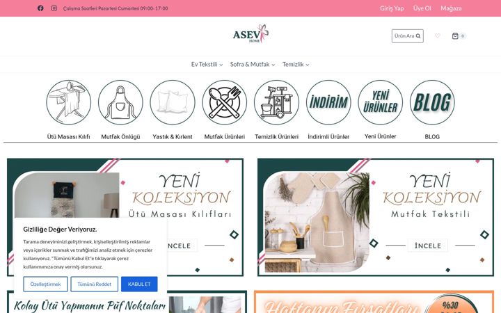 Screenshot of asevhome.com
