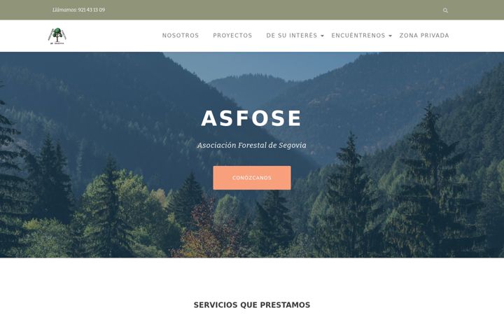 Screenshot of asfose.com