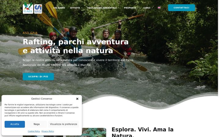 Screenshot of asgaia.it