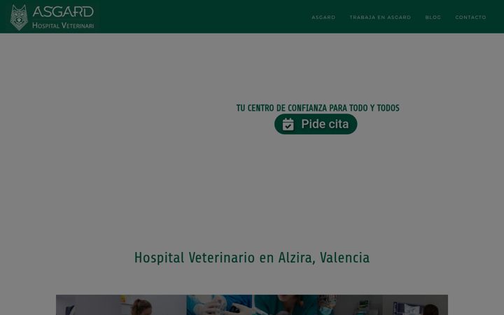 Screenshot of asgardhospitalveterinari.es