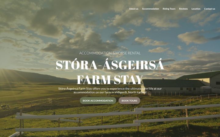 Screenshot of asgeirsa.is