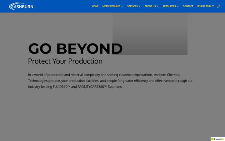 Zrzut ekranu ashburnchemical.com