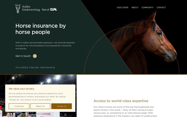Screenshot of ashbyunderwriting.com
