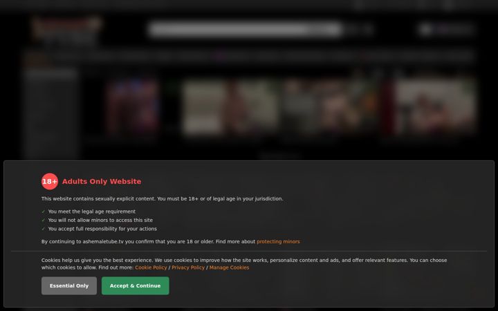 Screenshot von ashemaletube.tv