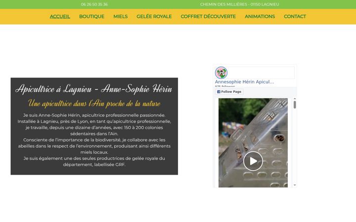 Screenshot of asherin-apicultrice.fr