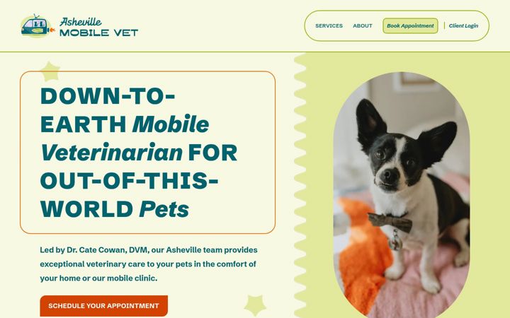 Skærmbillede af ashevillemobilevet.com