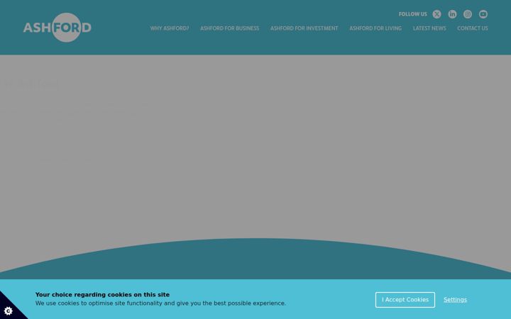 Screenshot του ashfordfor.com
