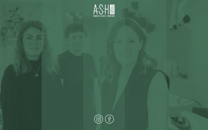 Screenshot of ashfrisor.dk