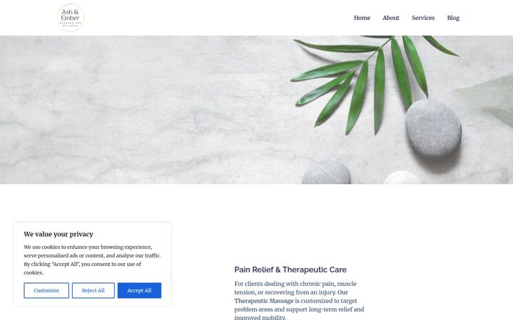 Screenshot of ashnember.com