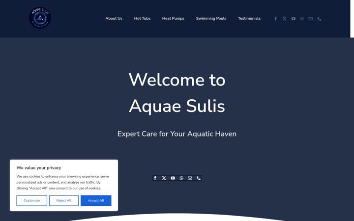 Screenshot of ashottubservices.com