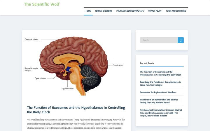 Screenshot of ashourpipes.com