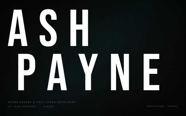 Screenshot of ashpayne.com