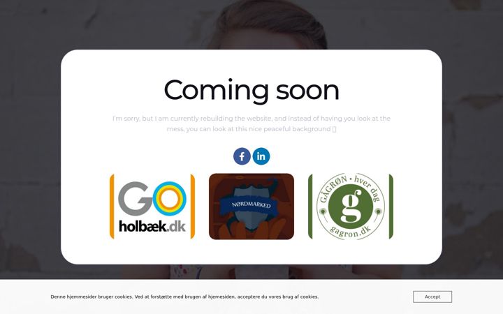 Screenshot του ashportfolio.dk