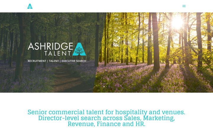 Screenshot of ashridgetalent.com
