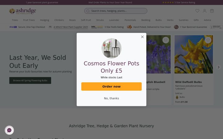 Screenshot of ashridgetrees.co.uk