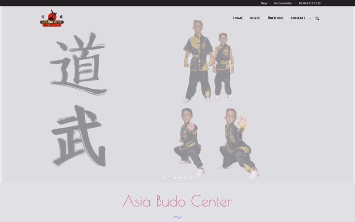Screenshot of asiabudocenter.ch