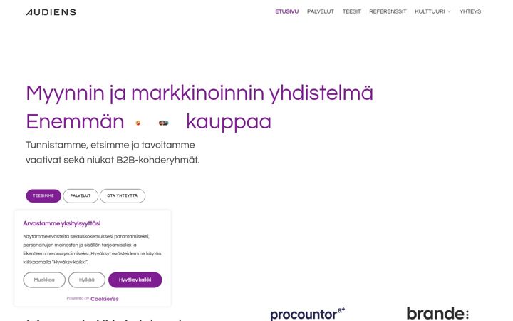Screenshot of asiantuntijamedia.fi