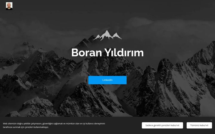Screenshot of asimboranyildirim.com.tr