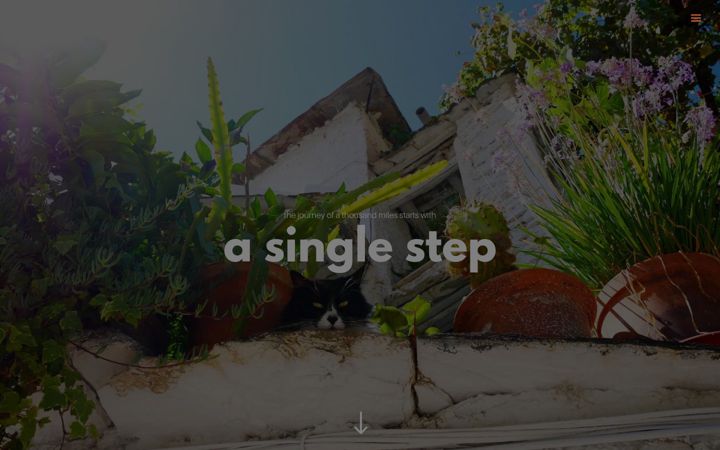 Screenshot of asinglestep.co.uk