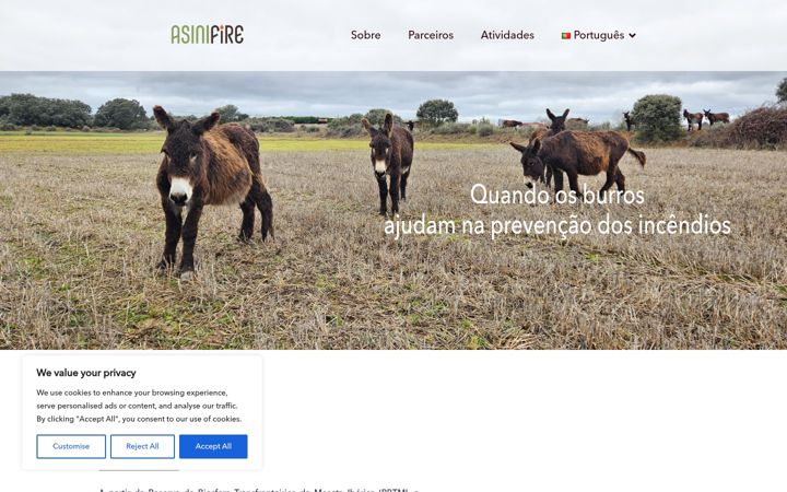 Screenshot of asinifire.com