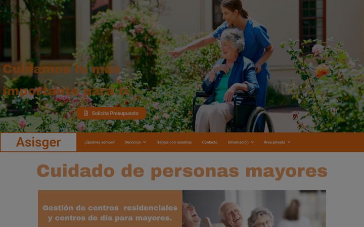 Screenshot of asisger.com