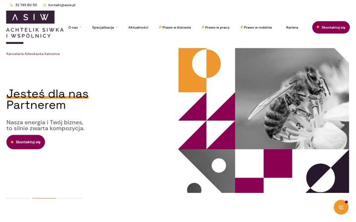 Screenshot of asiw.pl