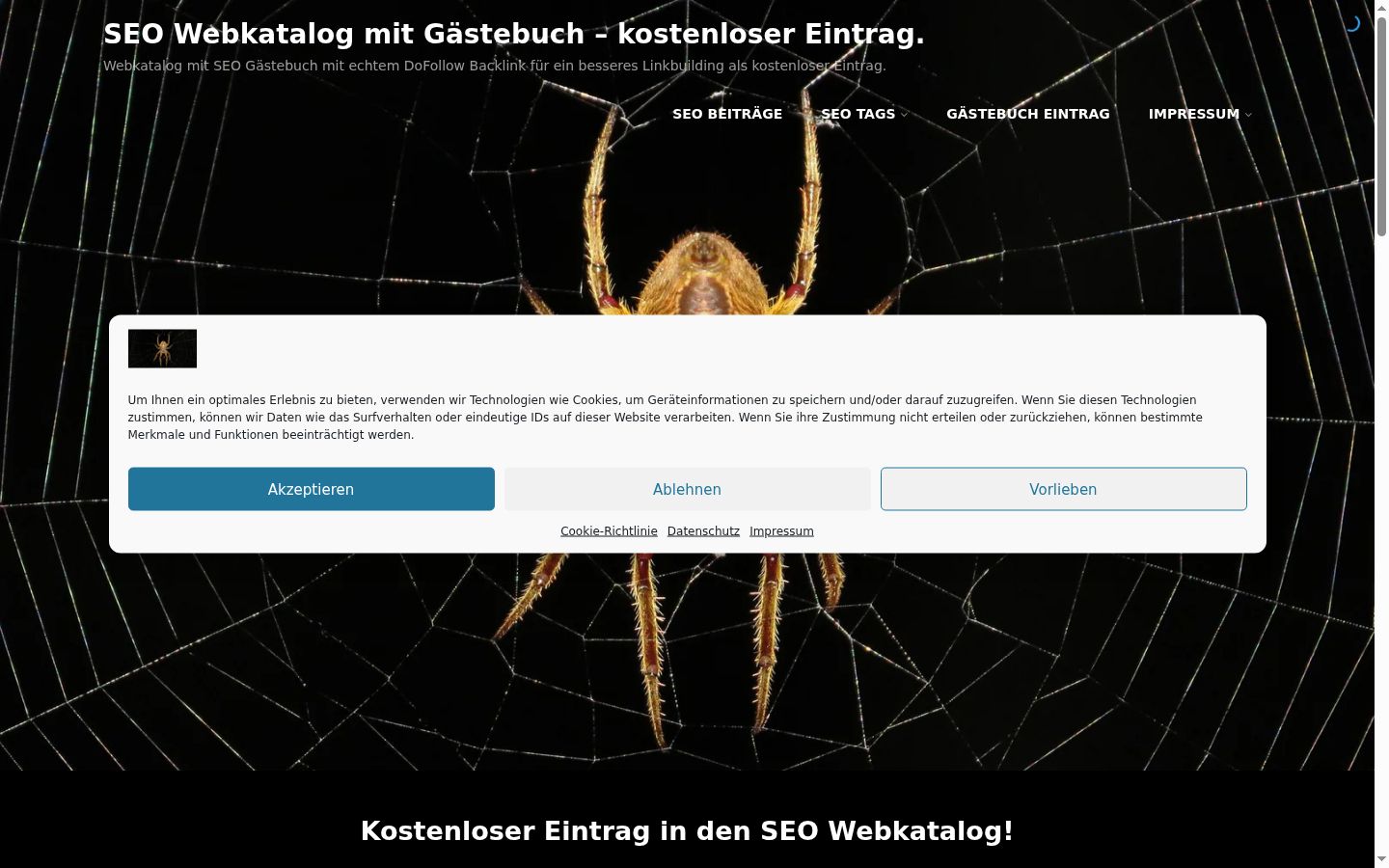 Screenshot of the consent banner shown before any interaction
