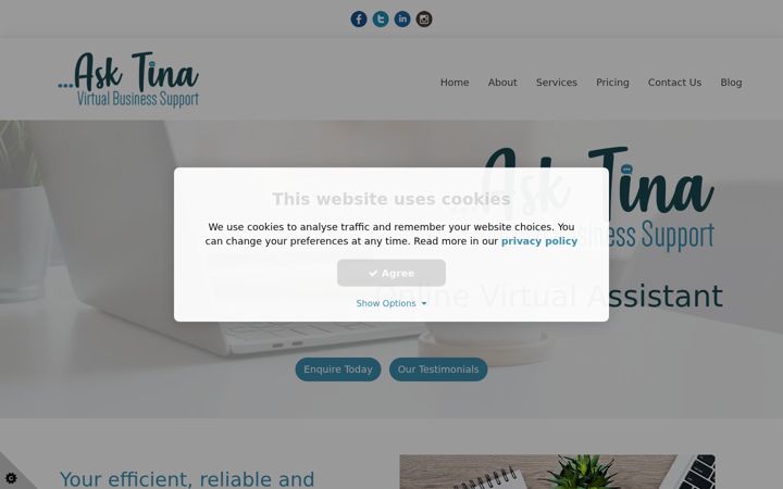 Screenshot of ask-tina.com